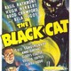 photo du film The Black Cat