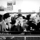 photo du film Son patron et son matelot