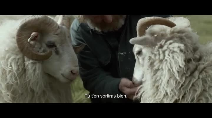 Extrait vidéo du film  Béliers