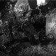 photo du film Le Roi des zombies