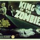 photo du film Le Roi des zombies