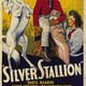 photo du film Silver Stallion