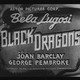 photo du film Black Dragons