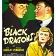 photo du film Black Dragons