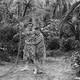 photo du film Deux nigauds dans une île