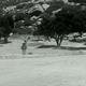 photo du film Texas to Bataan