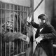 photo du film L'Homme singe
