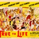 photo du film True to Life