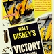 photo du film Victory Through Air Power