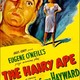 photo du film The Hairy Ape
