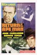 voir la fiche complète du film : Return of the Ape Man