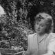 photo du film The Tawny Pipit