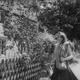 photo du film The Tawny Pipit