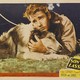 photo du film Le Fils de Lassie