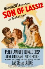 Le Fils de Lassie