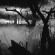 photo du film Strangler of the Swamp