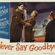 photo du film Ne dites jamais adieu