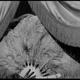 photo du film Swing Parade of 1946