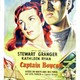 photo du film Captain Boycott