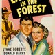photo du film Lightnin' in the Forest