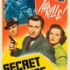 photo du film Secret Service Investigator