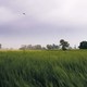 photo du film La Quatrième voie