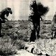 photo du film L'île inconnue
