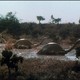 photo du film L'île inconnue