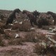 photo du film L'île inconnue