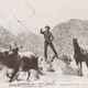 photo du film Brahma taureau sauvage