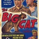 photo du film Le Chat sauvage