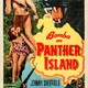 photo du film La Panthère noire