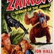 photo du film Zamba