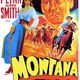 photo du film Montana