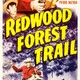 photo du film Redwood Forest Trail