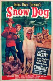 voir la fiche complète du film : Snow Dog