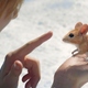 photo du film Un garçon nommé Noël