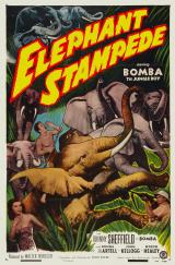 La Ruée Sauvage Des éléphants