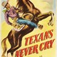 photo du film Les Rangers attaquent