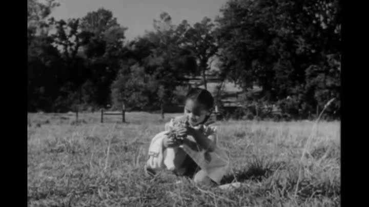 Extrait vidéo du film  The Well