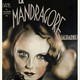 photo du film Mandragore