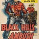 photo du film Black Hills Ambush