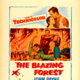 photo du film La Forêt en feu