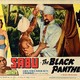 photo du film The Black Panther