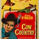 photo du film Cow Country