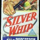 photo du film The Silver Whip