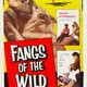 photo du film Fangs of the Wild