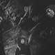 photo du film Les Tueurs de l'espace