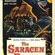 photo du film L'Épée des Sarrasins