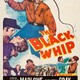 photo du film Le Fouet noir